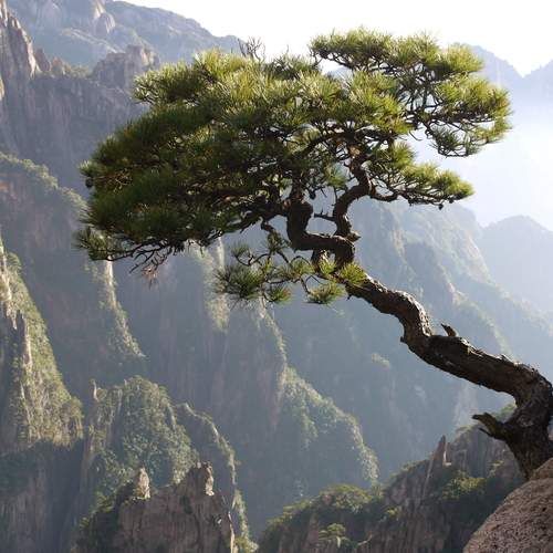 Photo #11917498