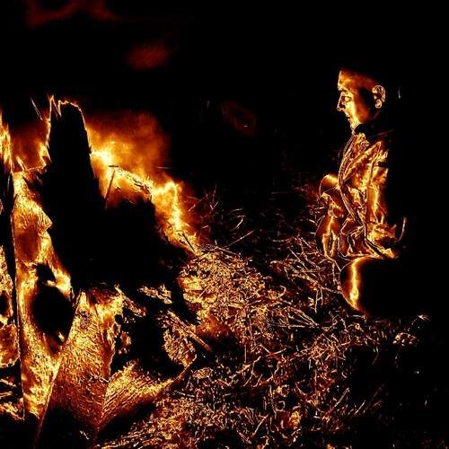 Photo #11917626