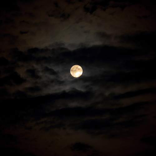 Photo #11917745
