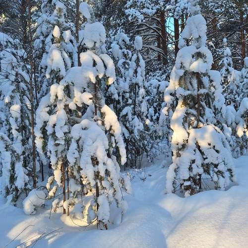 Photo #11917758