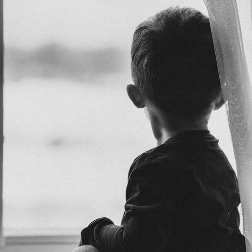 Photo #11917802