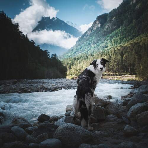 Photo #11917836