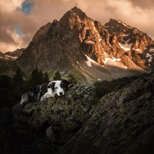 Photo #11917857