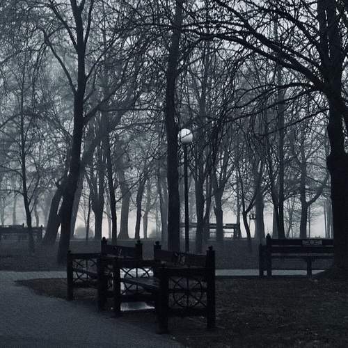 Photo #11917945