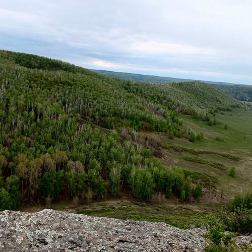 Photo #11918015