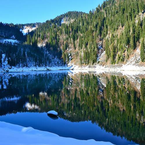 Photo #11918091