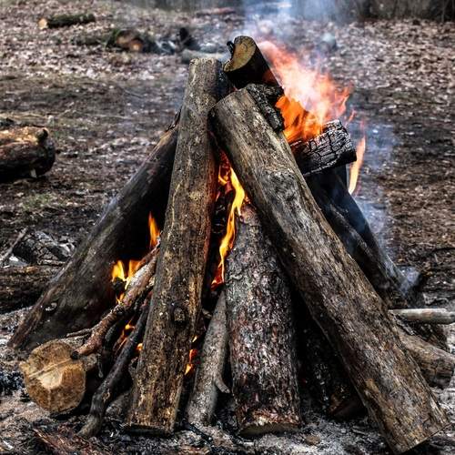 Фотография #11918095