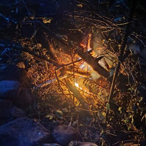 Photo #11918163
