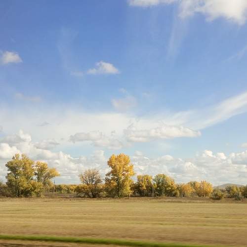 Photo #11918177