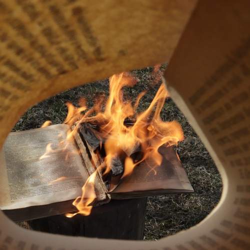 Photo #11918191