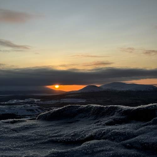 Photo #11918275