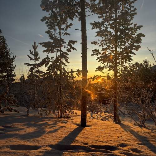 Photo #11918278