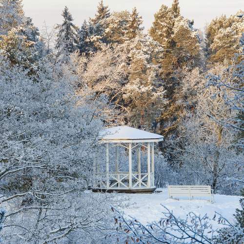 Photo #11918367