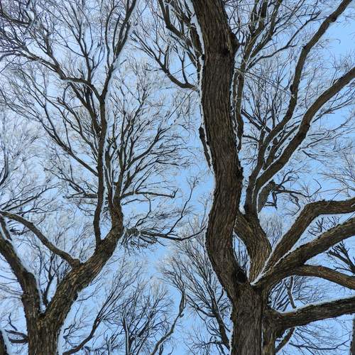 Photo #11918368