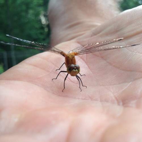 Photo #11918478