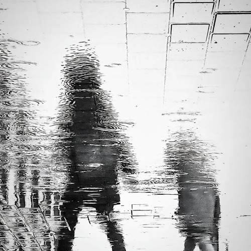 Photo #11918734