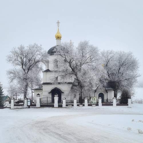Photo #11918832