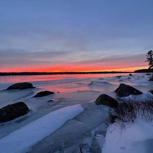 Photo #11918920