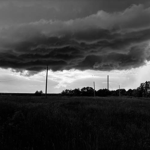 Photo #11918955