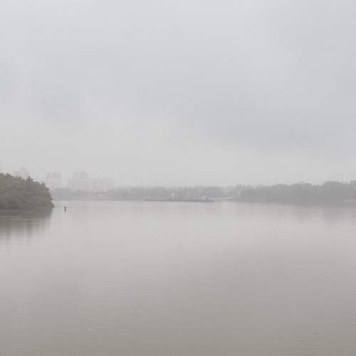 Photo #11918956