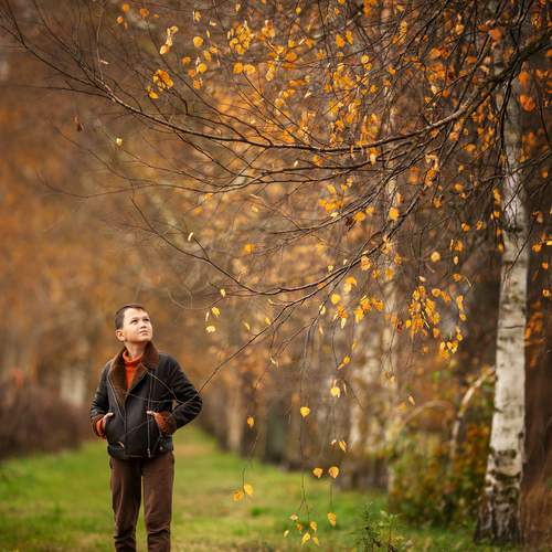 Photo #11919207