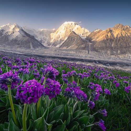 The Dawn of Tomur Peak