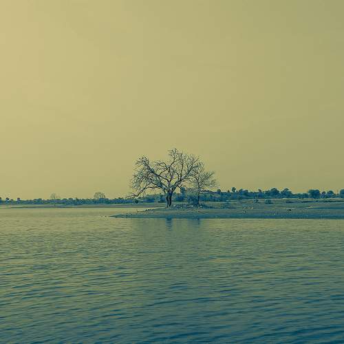 Photo #11919343