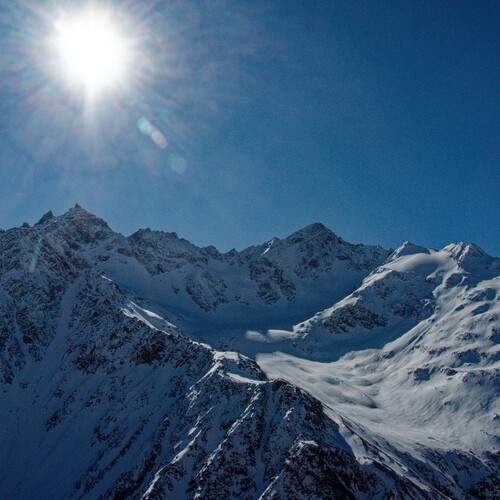 Photo #11919415