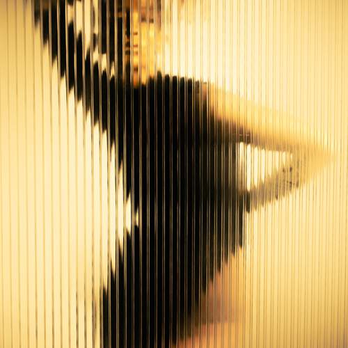Photo #11919472