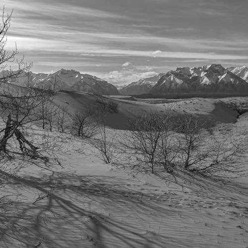 Photo #11919573