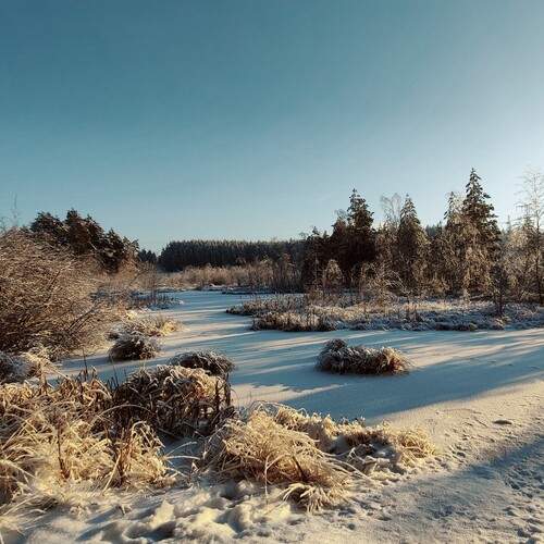 Photo #11919641