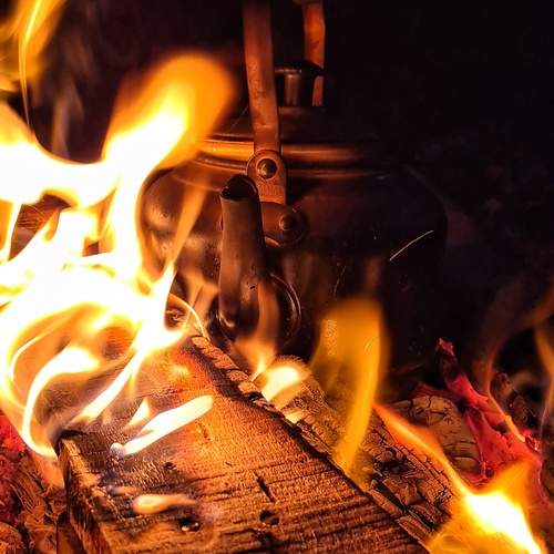 Photo #11919644