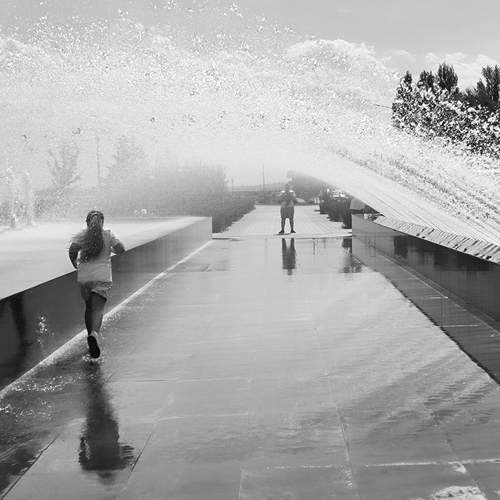 Photo #11919683