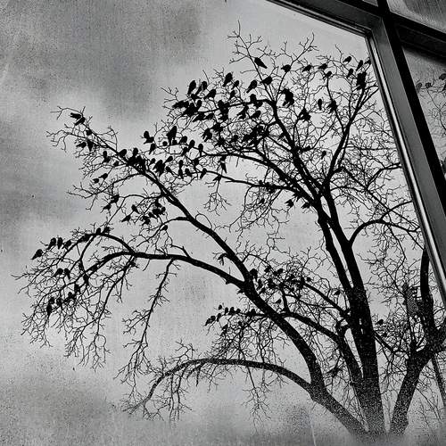 Photo #11919724