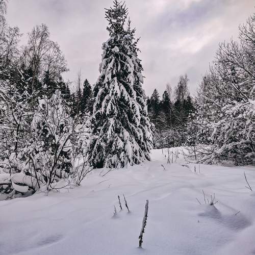 Photo #11919751