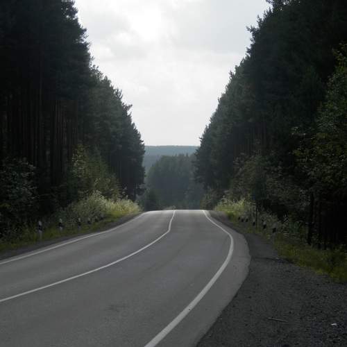 Photo #11919753