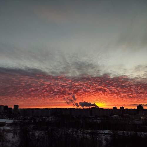 Photo #11919865