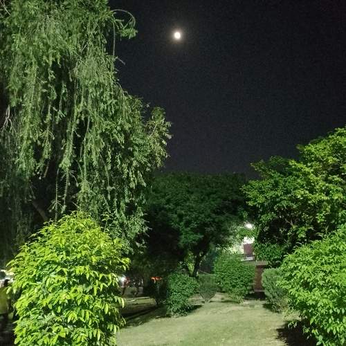 Photo #11919919