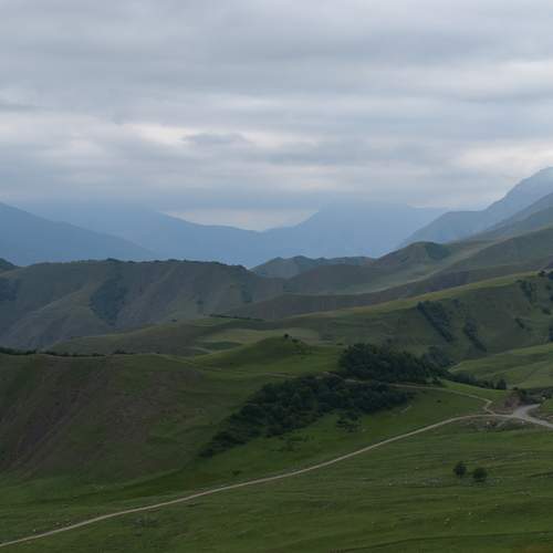 Photo #11920029