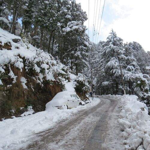 Photo #11920078