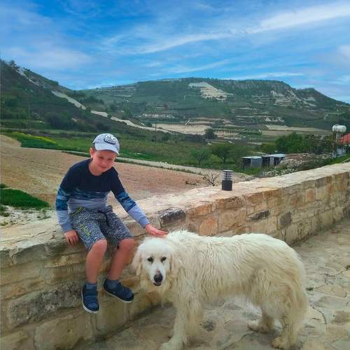 Photo #11920213