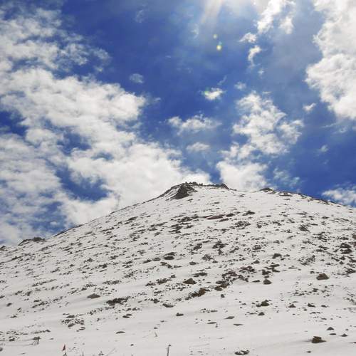 Photo #11920300