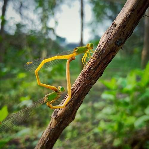 Photo #11920374