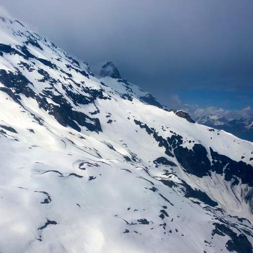 Photo #11920665