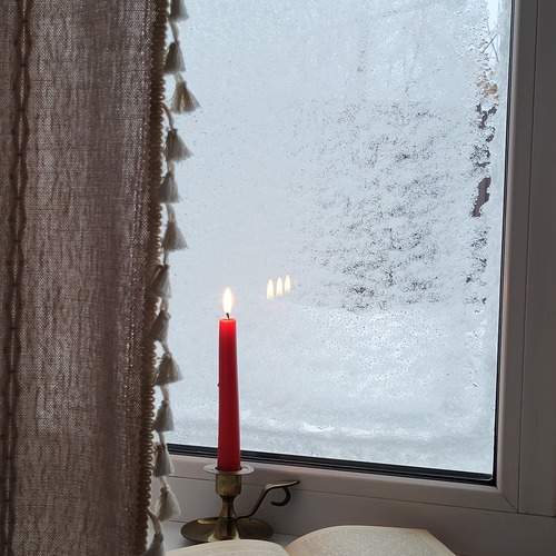Photo #11920682