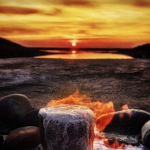 Photo #11920690