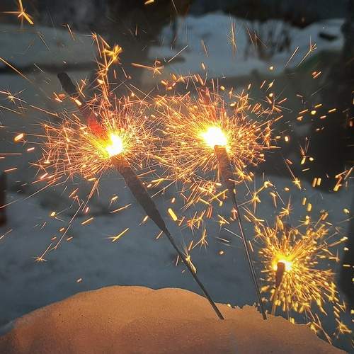 Photo #11920720