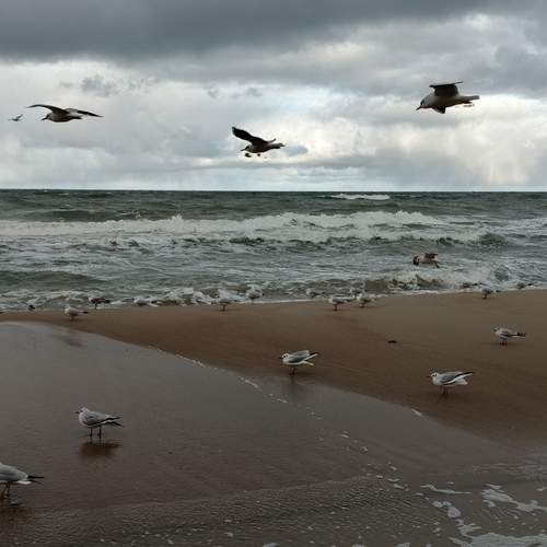 Photo #11920767