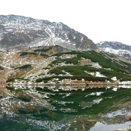 Photo #11921040
