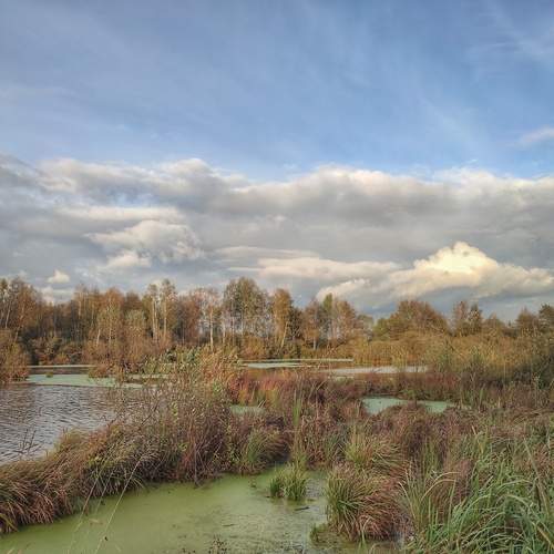 Photo #11921311